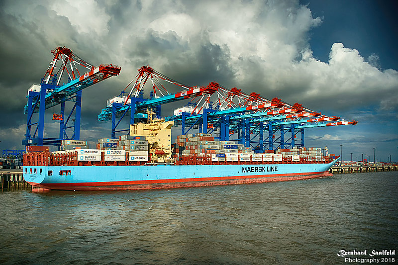 Bernhard Saalfeld - MAERSK LINE